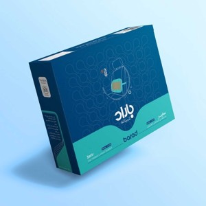 پشتی طبی گرمایشی خودرویی باراد مدل سفیر